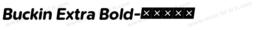Buckin Extra Bold字体转换